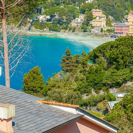 Mare - *